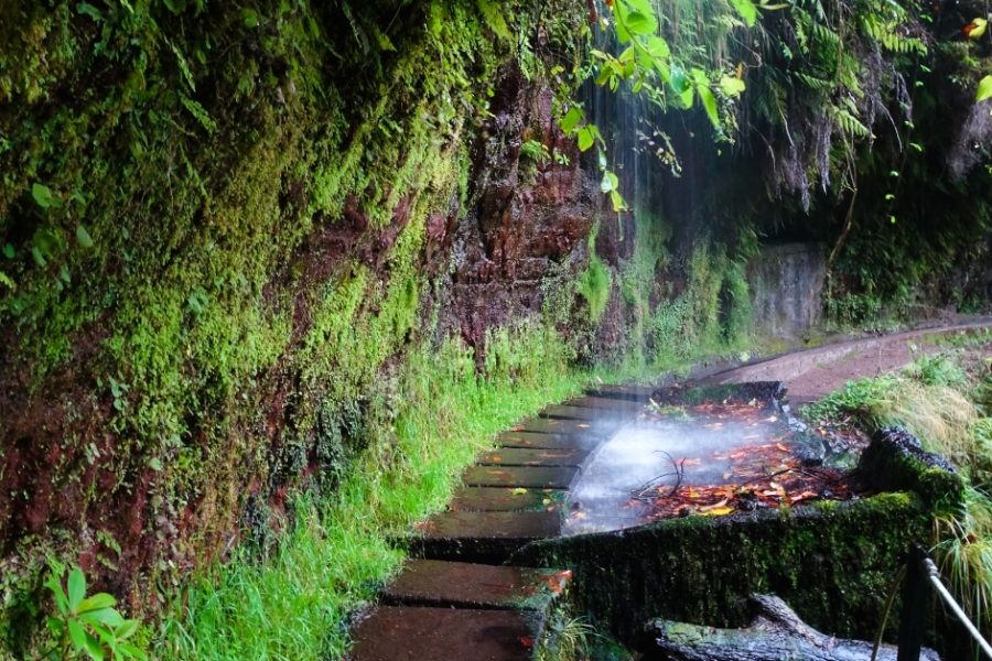 LEVADA DO REI AVEC UN GUIDE EXPÉRIMENTÉ